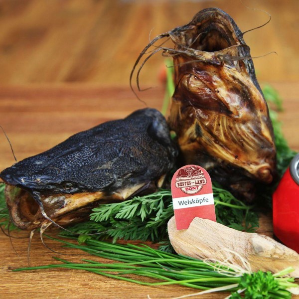 Imported image for article 1050