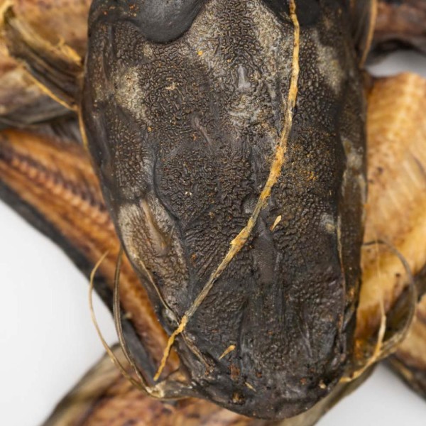 Imported image for article 1049