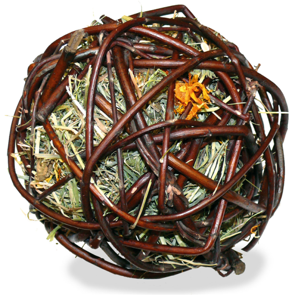 Imported image for article 4295