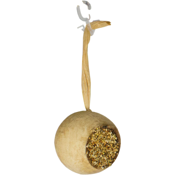 Imported image for article 4383