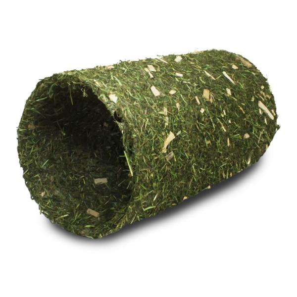 Imported image for article 4353