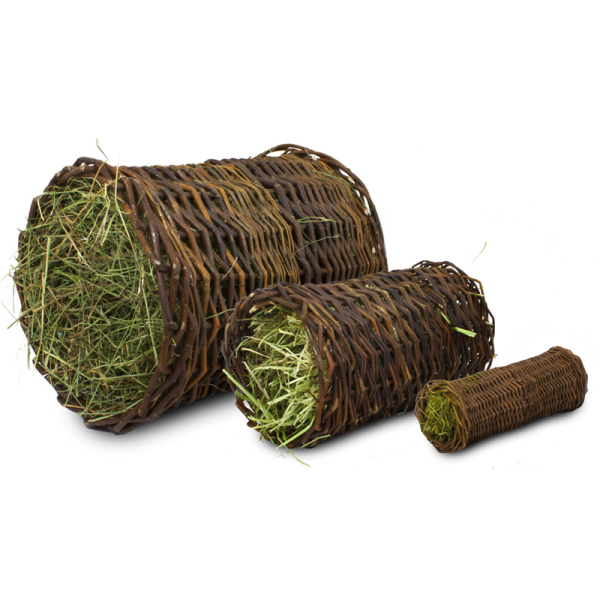 Imported image for article 4300