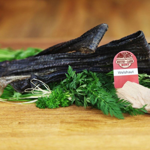 Imported image for article 1048