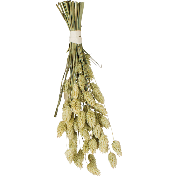 Imported image for article 4386