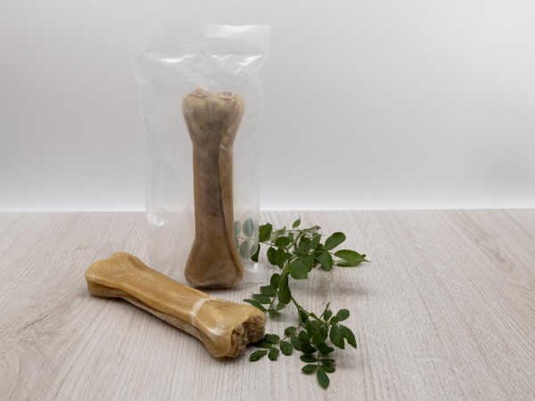 Imported image for article 2329