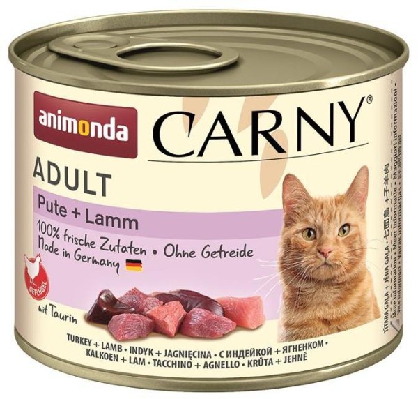 Imported image for article 38