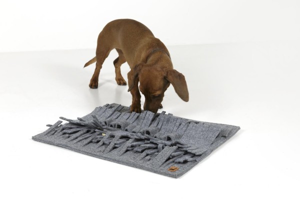 Imported image for article 60699