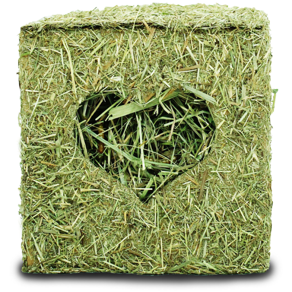 Imported image for article 4323