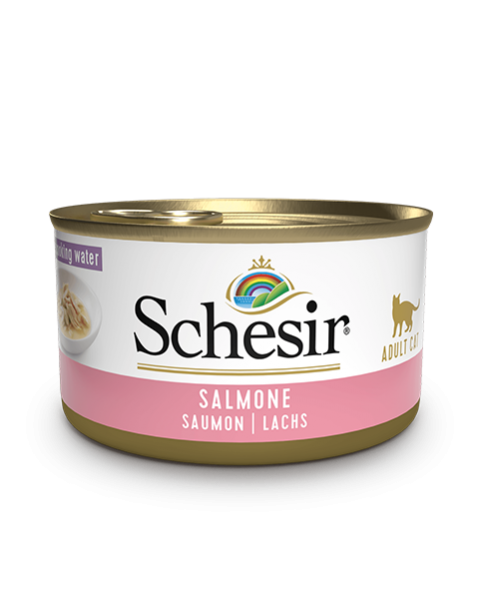 Schesir Cat - Lachs - 85g Dose