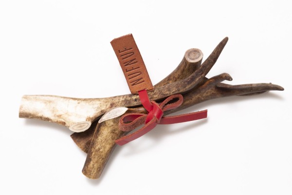 Imported image for article 5769