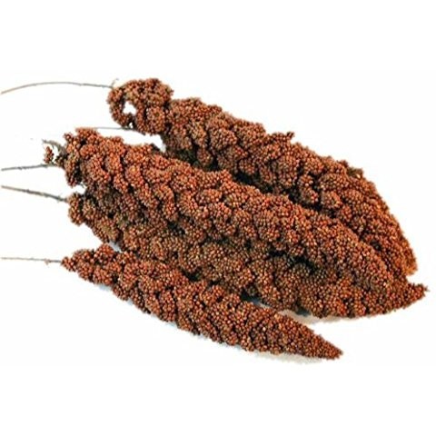 Versele-Laga Hirse - Kolbenhirse Frankreich Rot - 25kg