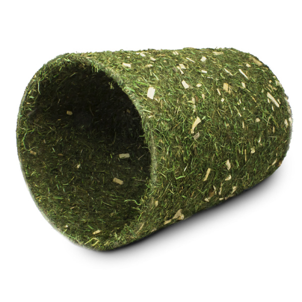 Imported image for article 4352