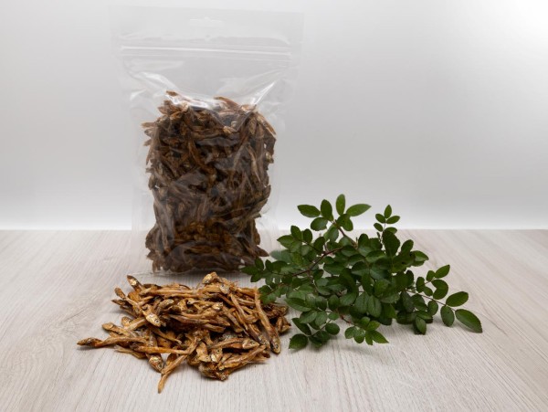 Imported image for article 2425