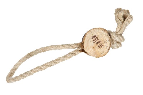 Imported image for article 5778