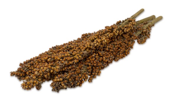 Imported image for article 4185