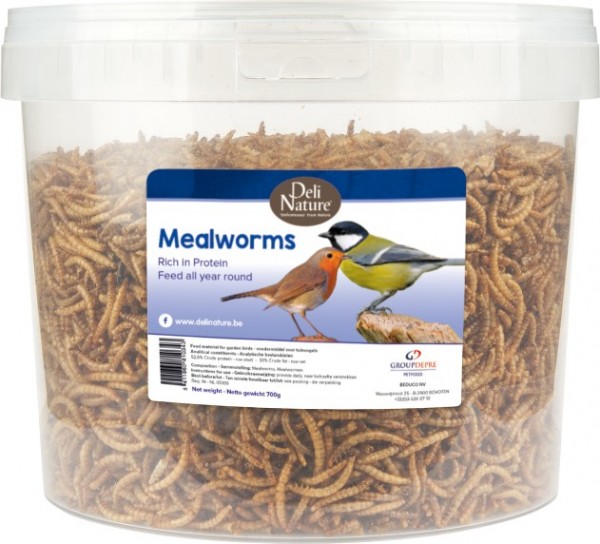 Deli Nature Meelwürmer 700g