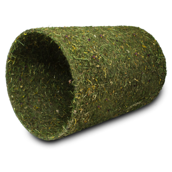 Imported image for article 4351