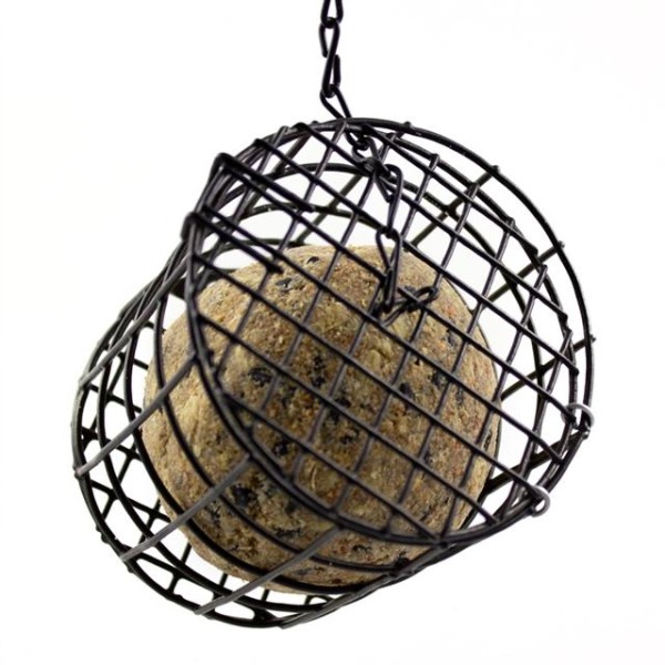 Imported image for article 61694