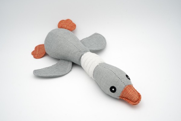 Imported image for article 60721