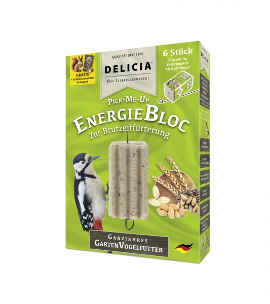 DELICIA Pick-Me-Up EnergieBloc - Faltschachtel, 6 Stück