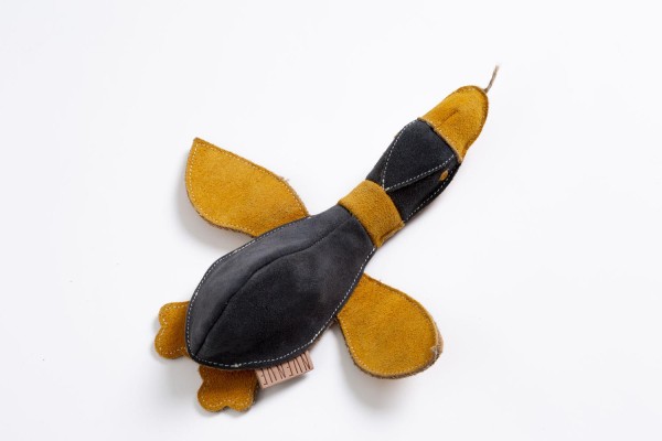 Imported image for article 5761